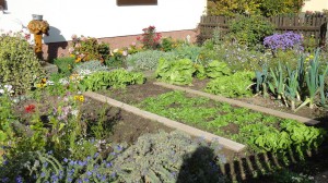 Bauerngarten in Kilianshof Rhön